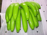 ECUADOR CLASS A GREEN CAVENDISH BANANAS