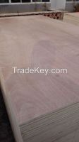 Hot Sale Commercial Plywood with High Grade Cheapest Pirce