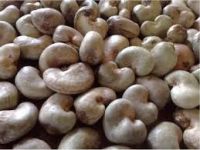 African Raw Cashew Nuts