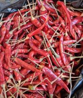 Red Chili