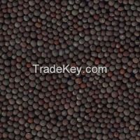 Black Mustard Seeds