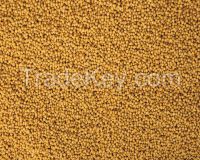 Yellow Mustard Seeds