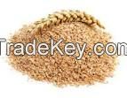 Wheat Bran