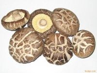 Sell dried mushroom