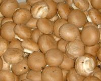 Sell crimini mushroom