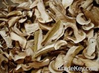 sell Boletus Edulis mushroom