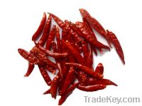 Sell dried hot chili