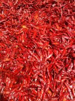 Dried Chilli High Quality From Vietnam