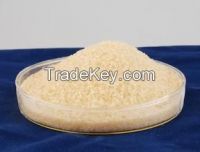 Hydroxypropyl Chitosan (HPCS)