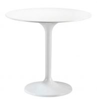 Whole fiberglass round dining table