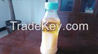 Hot-selling Used Cooking Oil from China