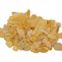 Sacred Frankincense Pure Essential Oils