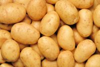 Sell High Quality Potatoes For Export