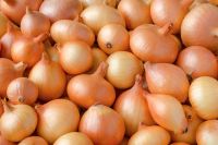 Sell High Quality Fresh Onions (Paerl Onions, Red Onions, Shallots, Yellow Onions)