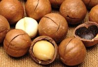 Organic Macadamia nuts