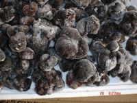 High Quality IQF Frozen/Fresh Truffles Mushrooms