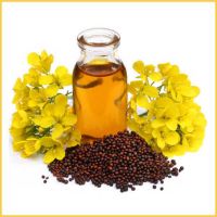 Premium Grade cheap Mustard Oil