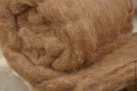 Best quality camel hair/Wool