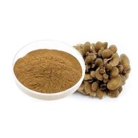 Anti-cancer Willow Bracket Mushroom Extract /Phellinus Igniarius Extract Powder with