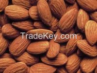 Natural Dried Almond Seeds