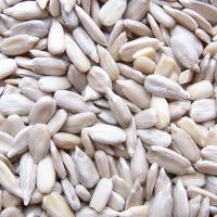 Sunflower Kernels for Sale