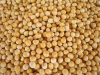 Yellow Peas for sale