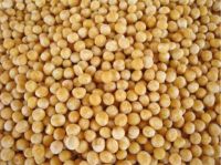 Whole Yellow Peas for Sale