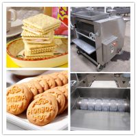 Large capacity Biscuit Processing Machinery