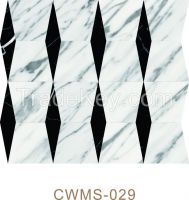 Venato Carrara and Black Marquina Mosaic