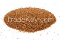 Teff Seed