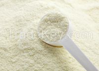 Lactose Free Milk Powder