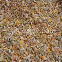 Chicken Grower Feed