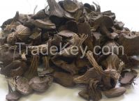 Palm Kernel Shell