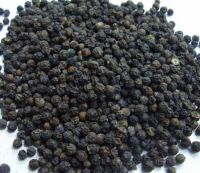 Clean Black Pepper