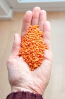 Cheap Canadian whole Red lentils