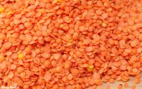 Red Split Lentils for sale