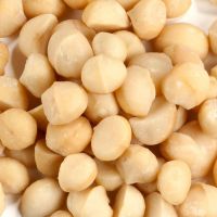 Top Quality Macadamia Nuts for Sale