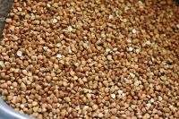 Top Quality Roasted Buckwheat