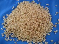 Good Short Grain Brown Rice