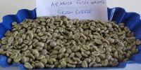 Washed Arabica Green Coffee Beans