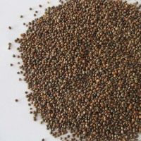 Perilla Seeds