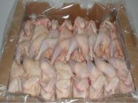 Frozen Whole Chicken for human consumption