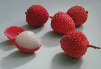 Fresh Lychee Fruit