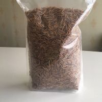 Dried Silkworm Meal
