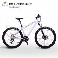 Selling Portable Mountain Bike/Bicycle with Good Quality and Price