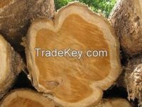 Sell TEAK SAWN BLOCKS AND LOGS OFFER