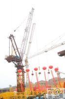 Sell QTD125 Tower Crane