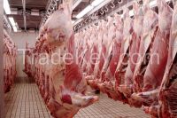 Frozen boneless Halal meat, Sheep meat, Donkey meat, buffalo& Lamb meat