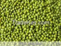 Green Mung Beans