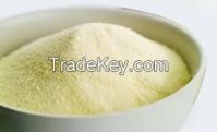 Milk Powder, Cheese, Beverages, RSFO, soyabean oil, cumin seed, 